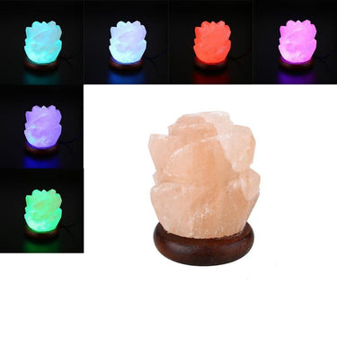 Rose Shape Natural Pink Himalayan Multi Color Salt Lamp